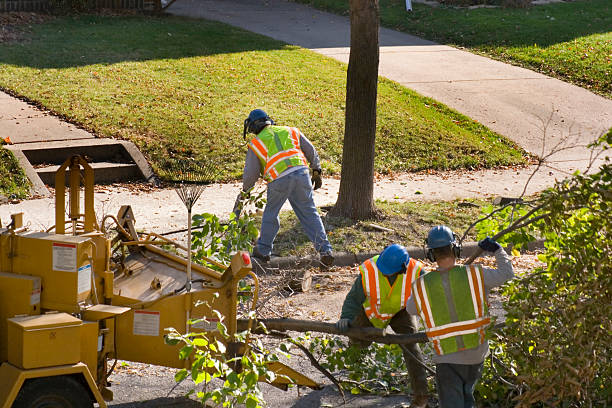 Best Aeration Services  in Reidsville, GA